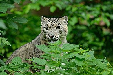 《小小大星球3》宣布PS4版即将永久下架 已购买的玩家不受影响